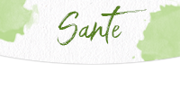 Santé.png